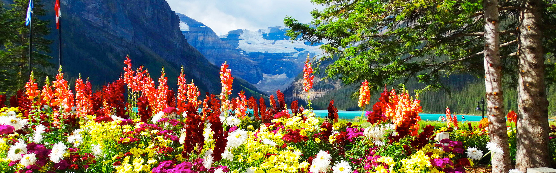 Best Lake Louise Vacations | Road Trips | Train Trips 