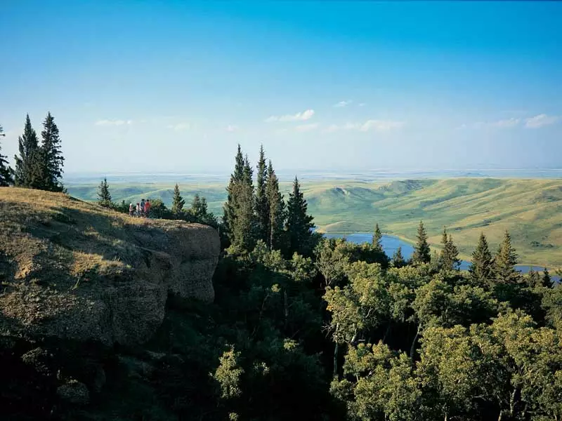 Jurassic Adventure in Southern Alberta Road Trip | Cypress Provincial Park