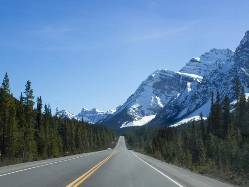 Rail & Drive through the Canadian Rockies | Driving the Icefield Parkway